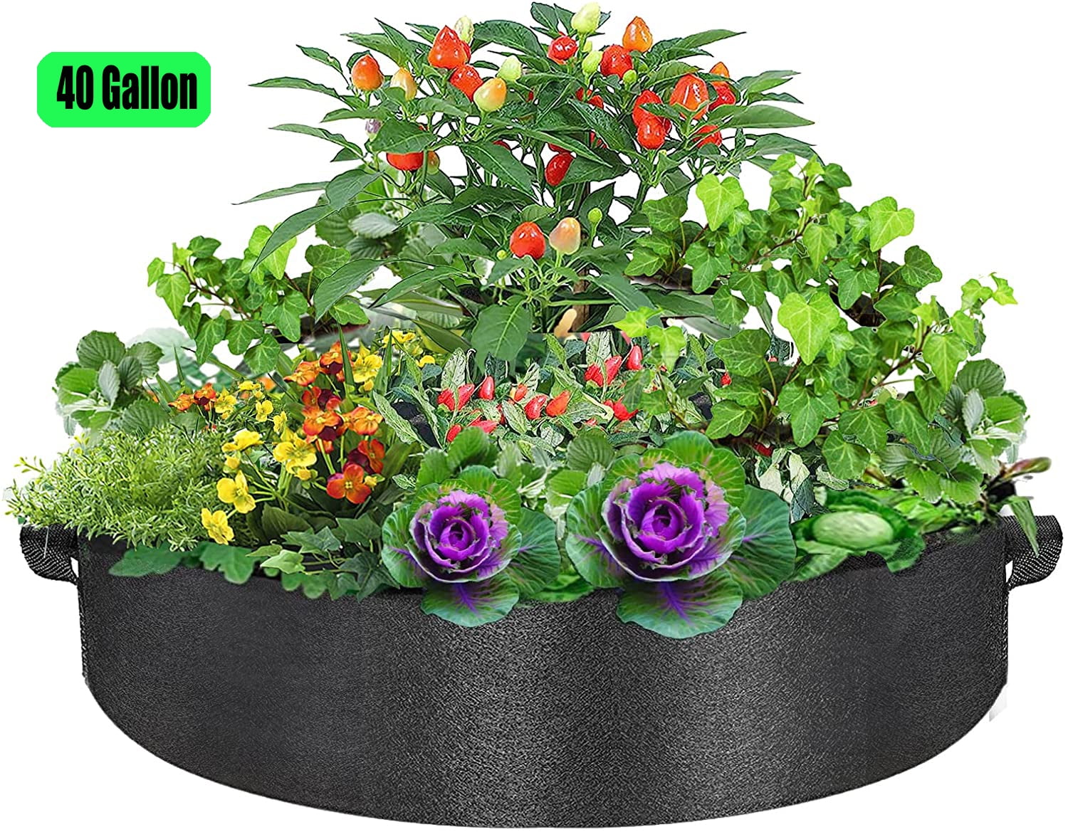 40 Gallon Plant Grow Bags, Round Fabric Raised Garden Beds Planter Pots
