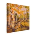 thumbnail image 2 of Trademark Fine Art 'Four Seasons Aspens III' Canvas Art by Nanette Oleson, 2 of 4