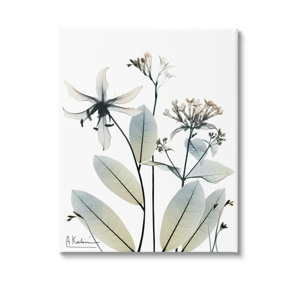 Stupell Industries Minimal Plant Blossoms Botanical & Floral Photography Gallery Wrapped Canvas Art Print Wall Art, 16 x 20
