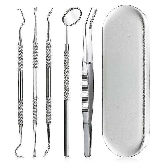 Ensemble de 5 Pcs +boîte Argentée Trousse de Soins Dentaires pour l'Élimination de la Plaque Ensemble d'Outils Incluant Miroir de Dentiste et Grattoirs à Tartre