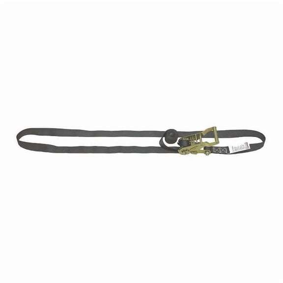 Lift-All Tiedown,Rtcht Strap Asmbly,700lb,Endless 60107