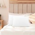 thumbnail image 1 of Juego de fundas de almohada con cremallera de microfibra suave PiccoCasa de 2, blanco no estándar, 1 of 7