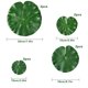 thumbnail image 2 of tamaños de plantas flotantes artificiales hoja de loto almohadillas de lirio de agua realistas para el hogar jardín estanque Pool8 Pack JFHHH pequeña, 2 of 5