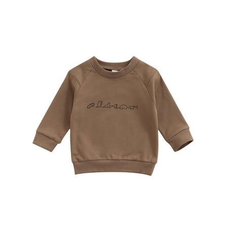 

Canrulo Kids Infant Baby Boys Girls Sweatshirt Outwear Cartoon Dinosaur Printed Long Sleeve Pullover Tops Coffee 12-18 Months