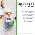 thumbnail image 3 of KAL Vitamin C-Rex Kids’ Gummies, Vitamin C Gummies for Kids, Healthy Immune, Bone, Muscle & Skin Support Vitamin C Gummy, Vegan, Gluten Free, 60 Day Money Back Guarantee, 30 Servings, 60 Gummies, 3 of 6