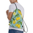 thumbnail image 3 of Easygdp Lemon Drawstring Backpack, Beach Sackpack, Travel Sackpack Lightweight for Sports, Gym, Travel, Swimming - Small, 3 of 9