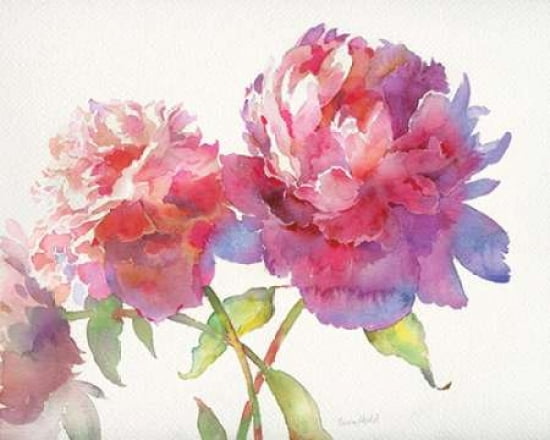Prize Peonies II Canvas Art - Theresa Troise Heidel ()