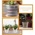 Axio 6Pcs Plastic Orchid Pots Small Plant Pot with Drainage Hole