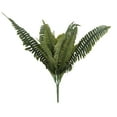 thumbnail image 2 of 16 Pack: Boston Fern Bush by Ashland, 2 of 3