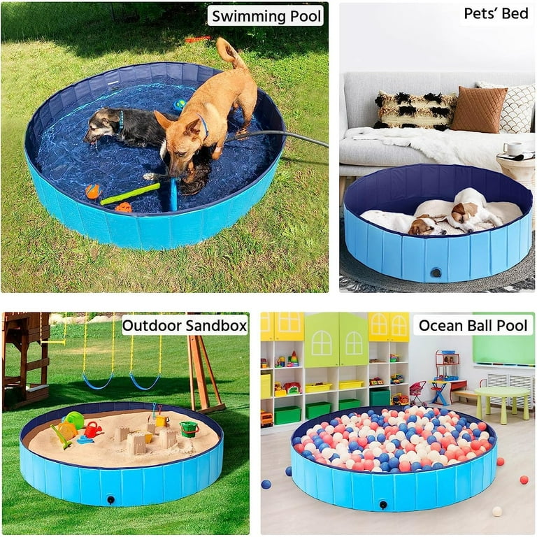 Interesting Hard Plastic Dog Pool Images