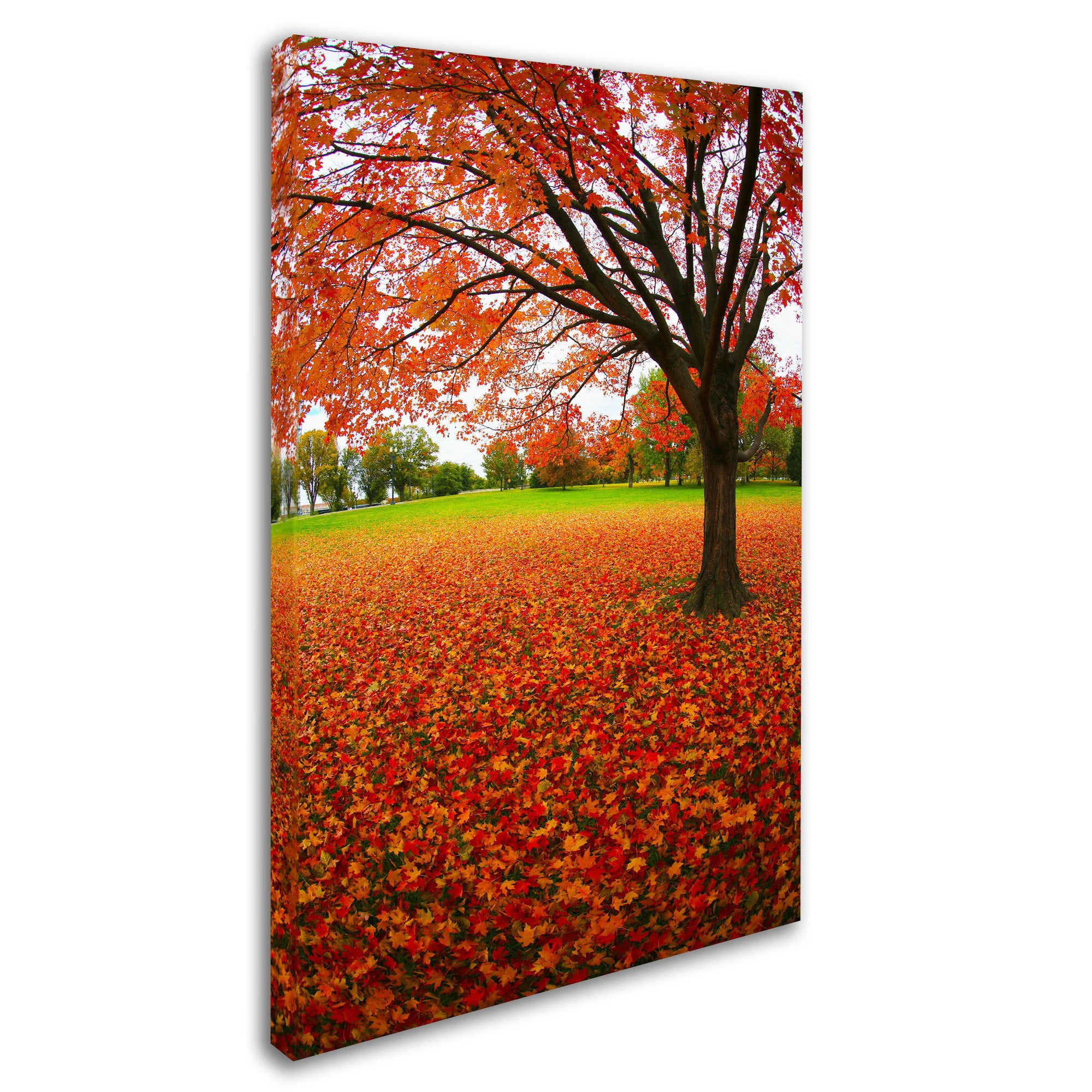 Trademark Fine Art "Autumn Expressions" Canvas Art by CATeyes