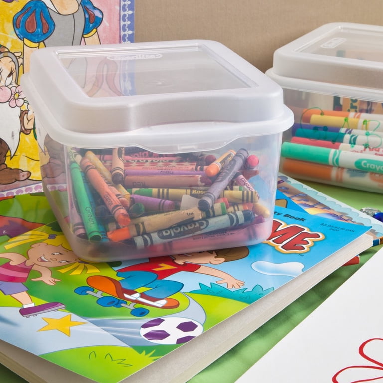 Free Shipping! Sterilite Flip Top Storage Box with Hinged Lid