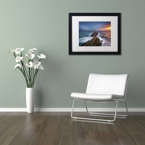 Trademark Fine Art "Red of Pleasure" Canvas Art by Mathieu Rivrin, White Matte, Black Frame