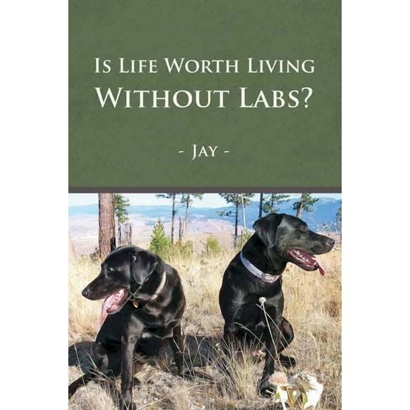 Is Life Worth Living Without Labs? (Paperback)