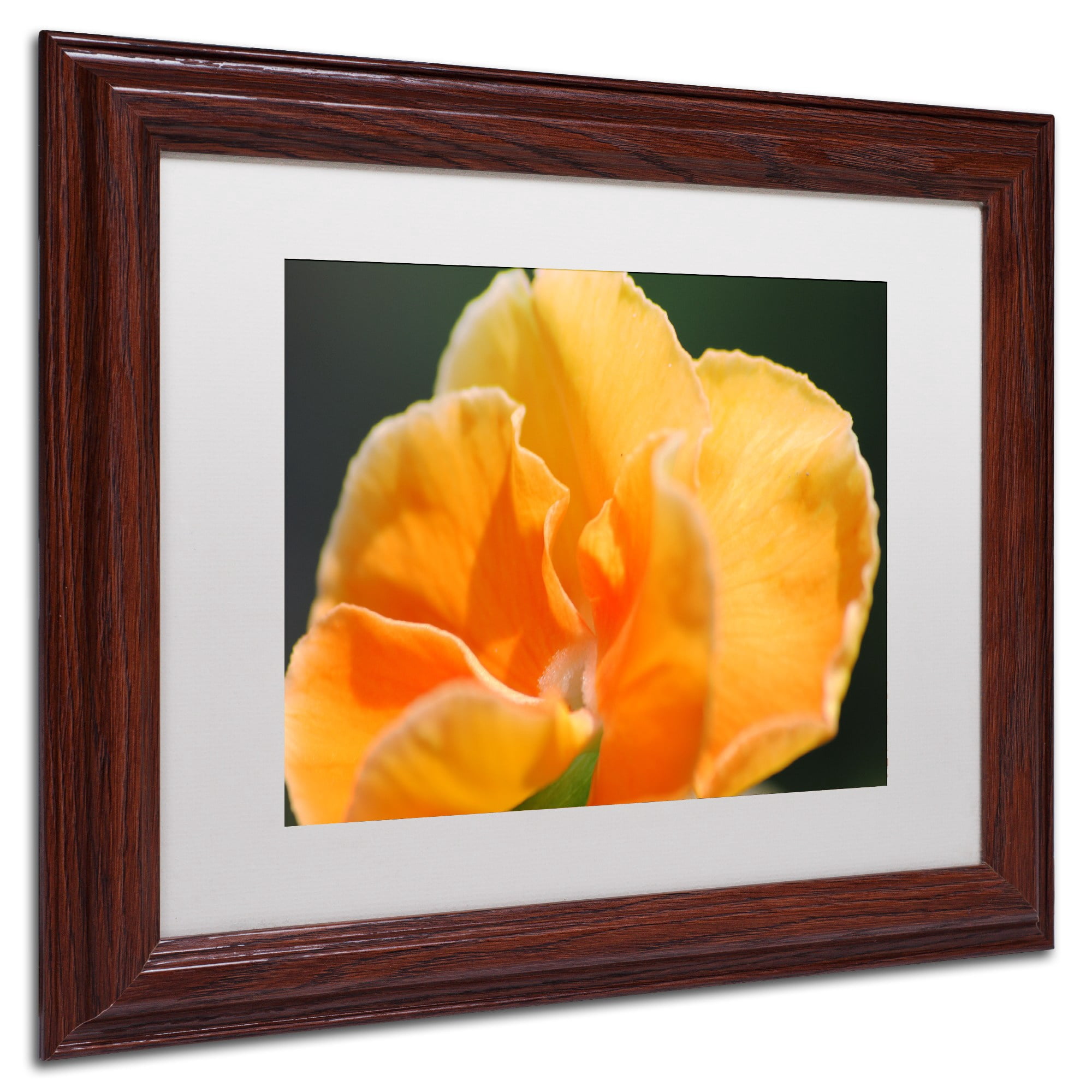 Trademark Fine Art "Simple Compassion" Canvas Art by Monica Mize, White Matte, Wood Frame