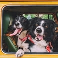 thumbnail image 4 of 2 Pack Dog Tag Clips, Stainless Steel Pet Id Tag Holder For Dog/cat _jiue, 4 of 5