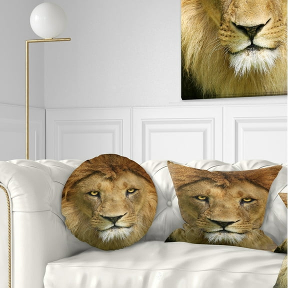 Designart Lion with Calm Face - Animal Throw Pillow - 12x20