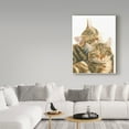 thumbnail image 3 of Trademark Fine Art 'Orange Cats' Canvas Art by Francien Van Westering, 3 of 3