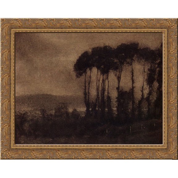 Touques Valley 24x20 Gold Ornate Wood Framed Canvas Art by Robert Demachy