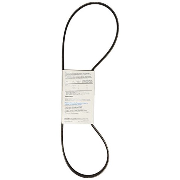 DAYCO BELTS/HOSES DRIVE RITE BELT