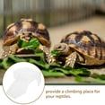 thumbnail image 3 of Phenofice Lot de 2 Rampes pour Reptiles ABS Transparent pour Aquariums d'Intérieur, 3 of 8