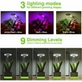 thumbnail image 6 of Grow Light Full Indoor Plants Height Adjustable Growing Lamp for Spectrum LED Plant Light with Timer 3/9/12H Dimmable Brightness ,Thrive, 6 of 7
