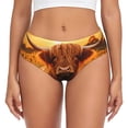 thumbnail image 1 of Balery Vintage Sunflower Cow B Ropa Interior de Algodón para Mujer con Dibujo – Braguitas Cómodas y Elásticas, Estilo Clásico-X-Large, 1 of 6
