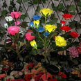 thumbnail image 3 of 5 Head LED Solar Rose Orchid Flower Light Outdoor Garden Waterproof Simulation Lawn Lamp Wedding Party Christmas Decor Landscape Light, 3 of 5