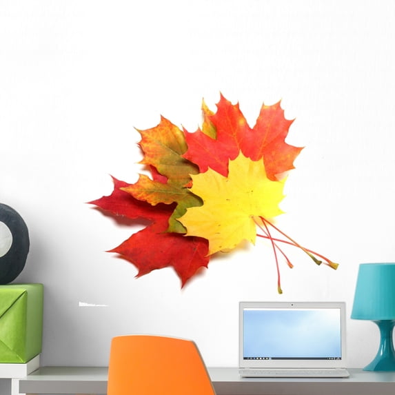 Maple Leaves Autumn Color Wall Mural by Wallmonkeys Peel and Stick Graphic (24 in W x 19 in H) WM263837