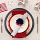 thumbnail image 4 of Servilleteros para La Fiesta Del Día de La Independencia: Decoraciones Patrióticas para Celebraciones, 4 of 6