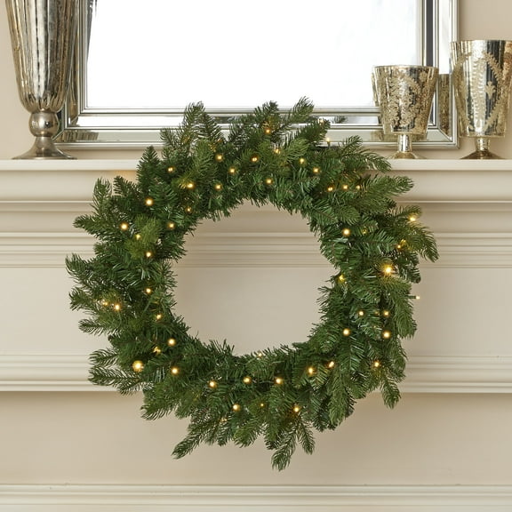 Palmetto Pine 24in Wreath, Pre-Lit 50 RGB Lights