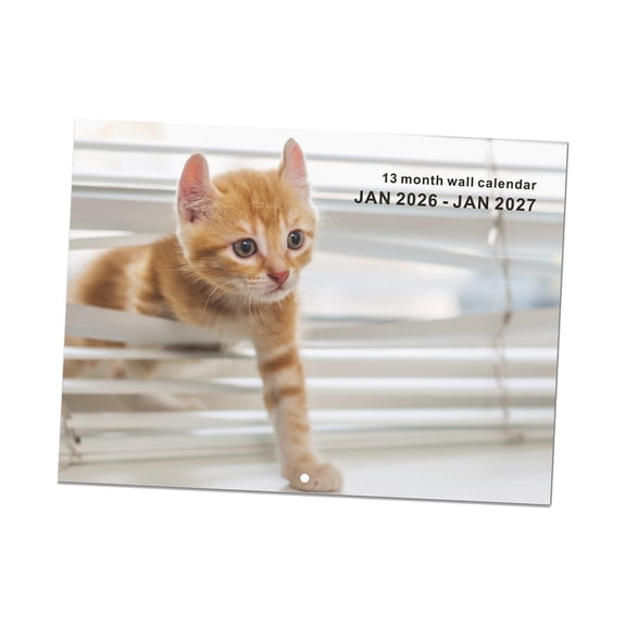 2026 Cats Wall Calendar | Prints, Space-Saving Design, Tear-Resistant Pages | Office & Home