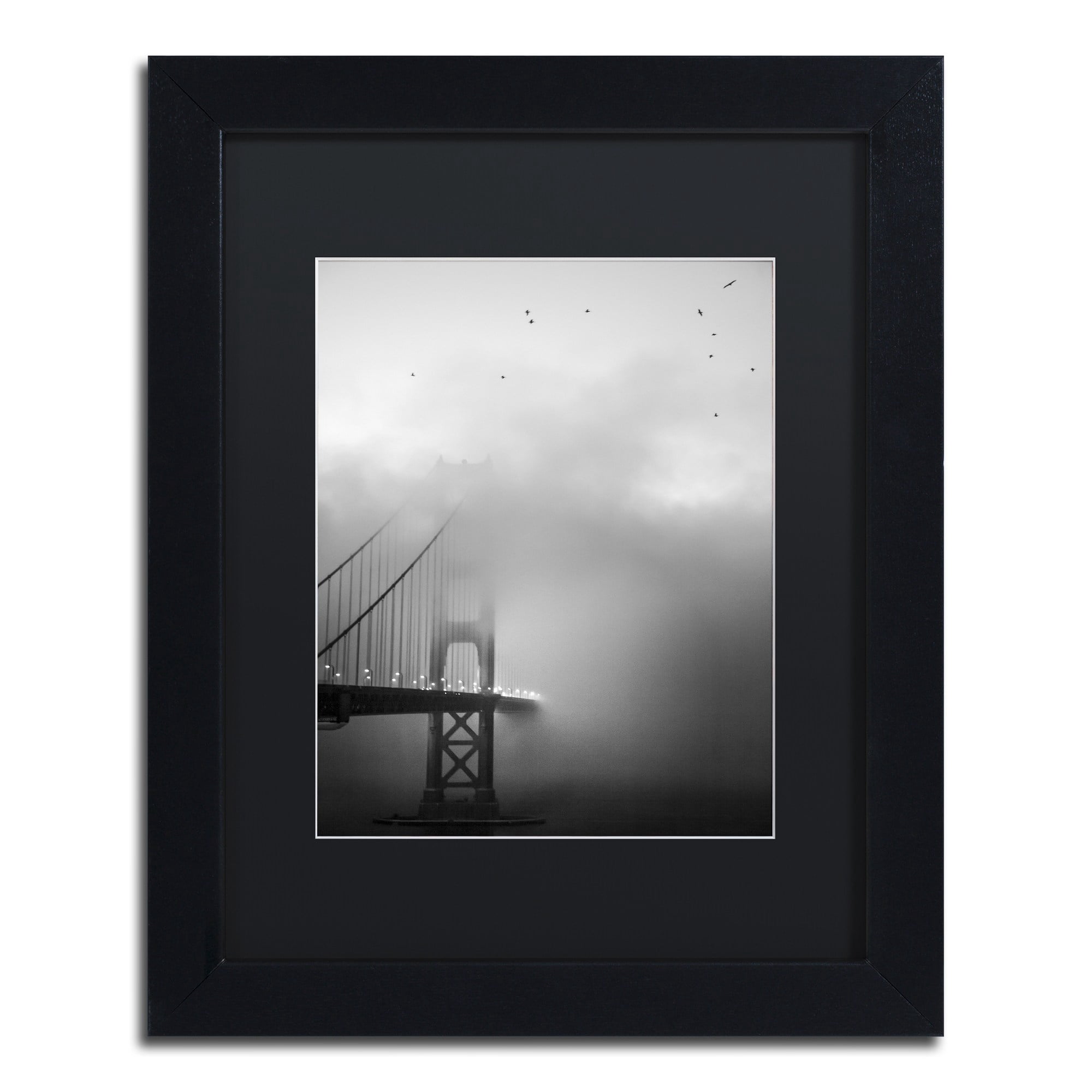 Trademark Fine Art "Golden Gate and Birds" Canvas Art by Moises Levy Black Matte, Black Frame