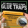 thumbnail image 5 of Glue Traps for Mice,Rat,Mouse,Snake,Lizard,Insect. 10 Pack. Extra Strength,Pre-Baited Adhesive.Heavy Duty Plastic Tray.Non-Toxic,Chemical-Free Pest Control for Home. 10Pack, 5 of 5
