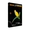 thumbnail image 4 of Trademark Fine Art 'Ads 196' Canvas Art by Vintage Lavoie, 4 of 4