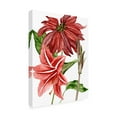 thumbnail image 2 of Melissa Wang 'Merry Blossom I' Canvas Art, 2 of 3