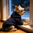 thumbnail image 3 of Warm Pet Hooded Sweatshirt, Soft Comfortable Dog Hoodie With Front Pocket, Cozy Cold‑Weather Daily Wear Outfit for Puppy Dogs, Breathable Casual Puppy Costume(Navy‑M), 3 of 5