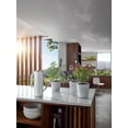 thumbnail image 2 of Blomus Limbo 1.5 Liter Watering Can, 2 of 2