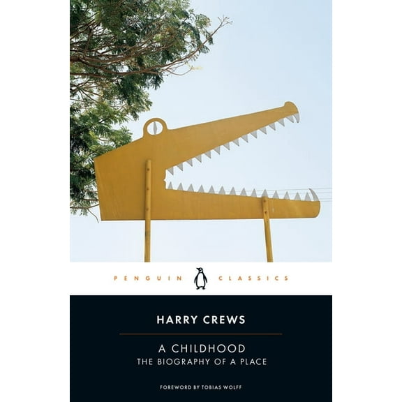 A Childhood: The Biography of a Place, (Paperback)