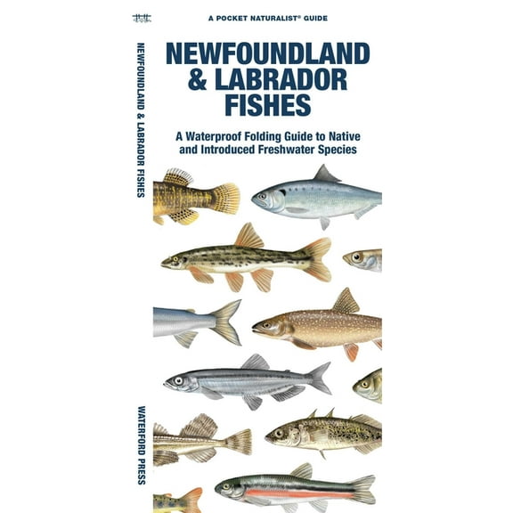 Newfoundland & Labrador Fishes : A Waterproof Folding Guide to Native and Introduced Species (Paperback)