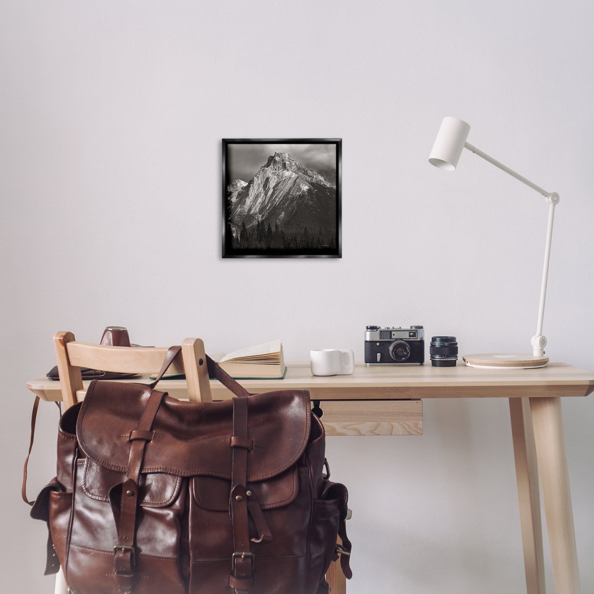 Stupell Industries Canadian Rockies View Landscape & Nature Photography Black Floater Framed Canvas Art Print Wall Art, 18 x 18