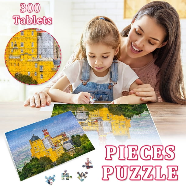 Acheter Sagit Adultes Puzzles 500 pièces Grand Jeu de Puzzle