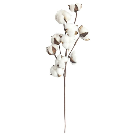1Pc Natural Cotton Flower Dried Cotton Bouquet Dehydrated Cotton Bunch for Decoration (White)