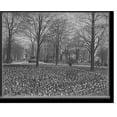 thumbnail image 2 of Historic Framed Print, [Grand Circus Park, Detroit, Mich.], 17-7/8" x 21-7/8", 2 of 9