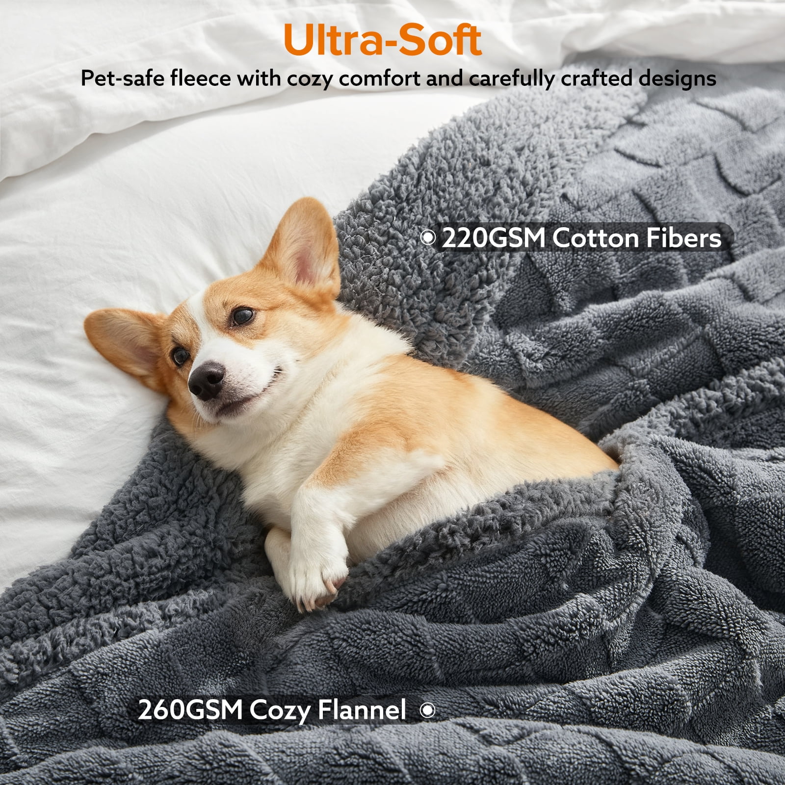 Waterproof Dog Blankets for Small Dogs Cats, Pet Blanket for Bed Furniture Sofa Protector, Soft Fleece Puppy Blanket for Crate Car Outdoor, Dog Gifts, Washable, 40"x30", Light Gray
