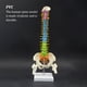 thumbnail image 4 of Vogacara Modelo anatómico de columna vertebral de 45cm con Pelvis, modelo de columna vertebral resistente al agua para educación temprana, Ayudas para vestirse con gancho de botón, 4 of 6