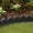 Gray, variant on GroundSmart SmartLoc Scallop Landscape Edging, 4' Brown Rubber Garden Edging Border, 4 pack