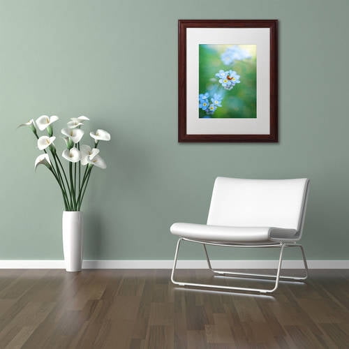 Trademark Fine Art "Forget-Me-Not" Canvas Art by Philippe Sainte-Laudy, White Matte, Wood Frame