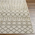 thumbnail image 3 of Livabliss Washable Rugs for Living Room, 7x9 Lavadora Global Sage Area Rug, Bedroom Dining Room Home Decor Stain Resistant Carpet (6'7" x 9'), 3 of 8