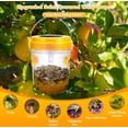 thumbnail image 3 of Wasp Traps Outdoor Hanging, Solar Bee Trap for Outside, Reusable Solar Powered Hornet Traps, Bee Wasp Catcher Outside Garden 3 Packs, 3 of 4